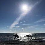 Casa vacanze Dat-klinkerhus *