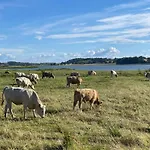 Casa vacanze Dat-klinkerhus *