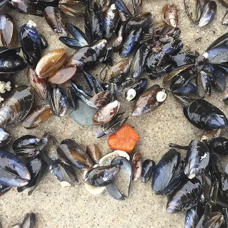 Dat-klinkerhus 펜션